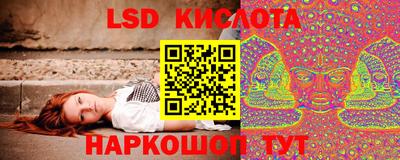 PSILOCYBIN Нальчик
