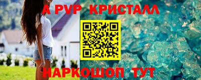 СК Моздок