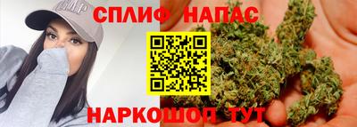 PSILOCYBIN Нальчик