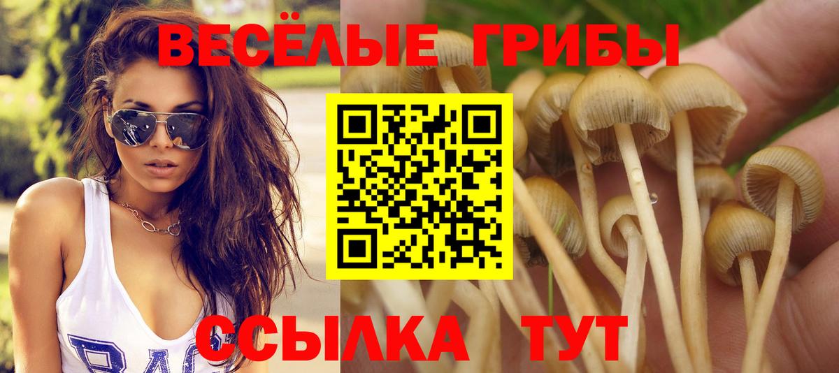 Псилоцибиновые грибы Cubensis Якутск
