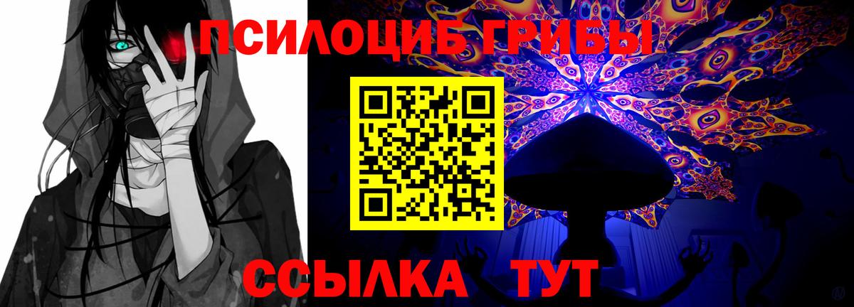 Галлюциногенные грибы прущие грибы  Псилоцибиновые грибы Cubensis  Вход с VPN  Якутск 